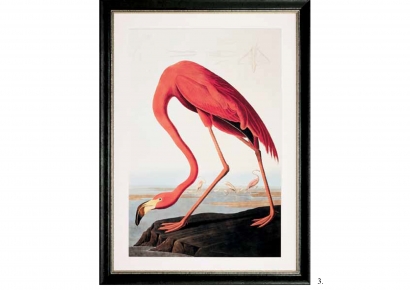 Reprodukcija. Flamingas - 7624