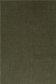 Fotelis -  MEMBER-gallery-3