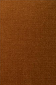 Fotelis -  MEMBER-gallery-2